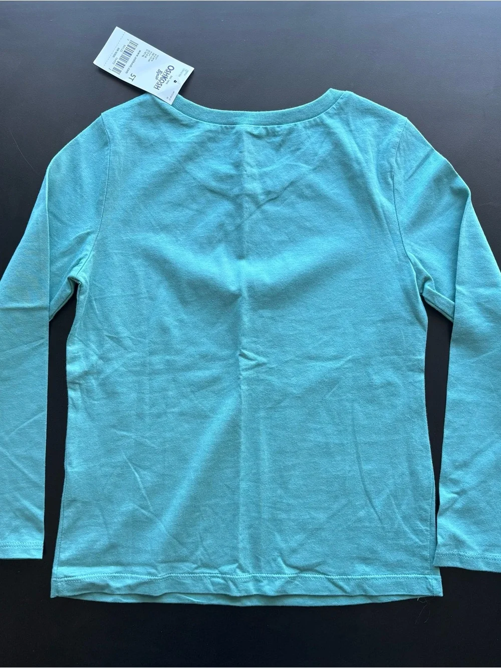 New OshKosh B'gosh Girls 5T Top & Leggings Set Long sleeve Hedgehog Blue Pink